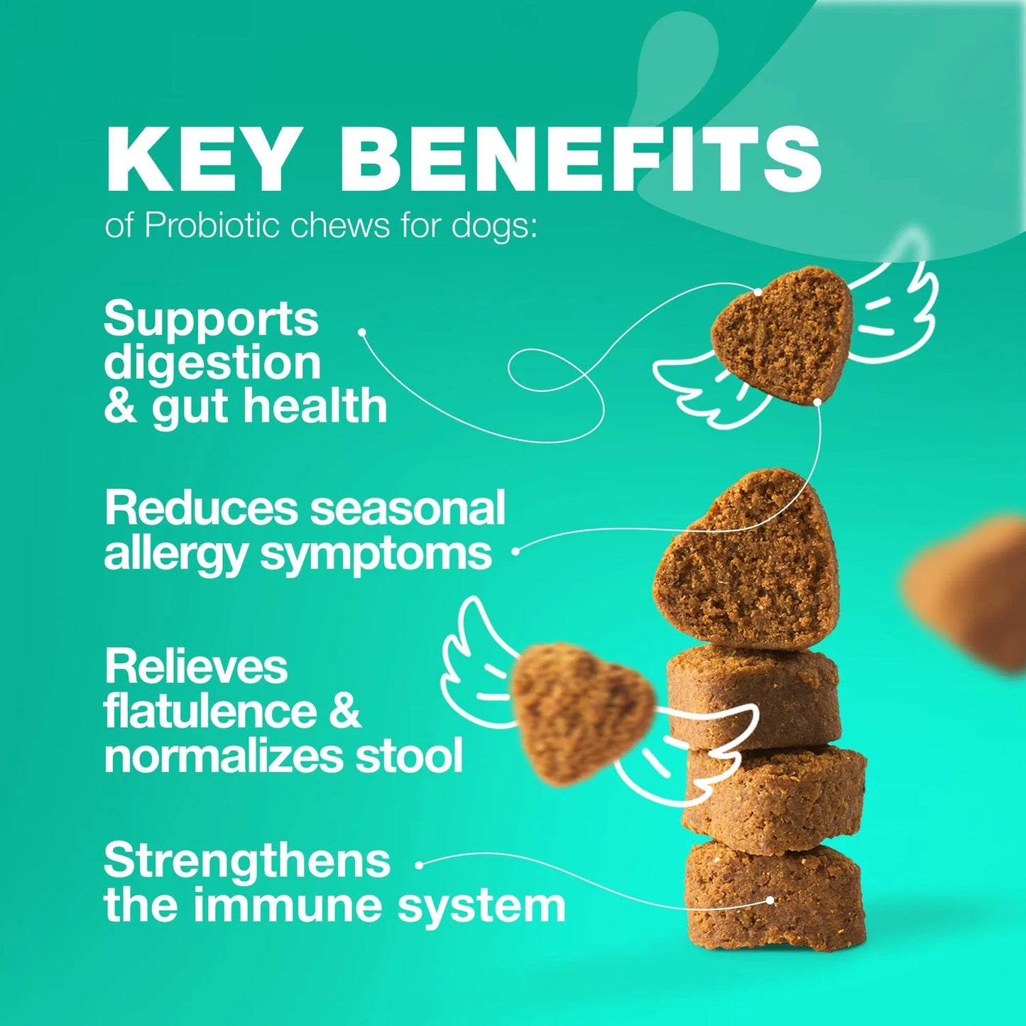 Furnara™ Chewia Probiotic Chews For Dogs