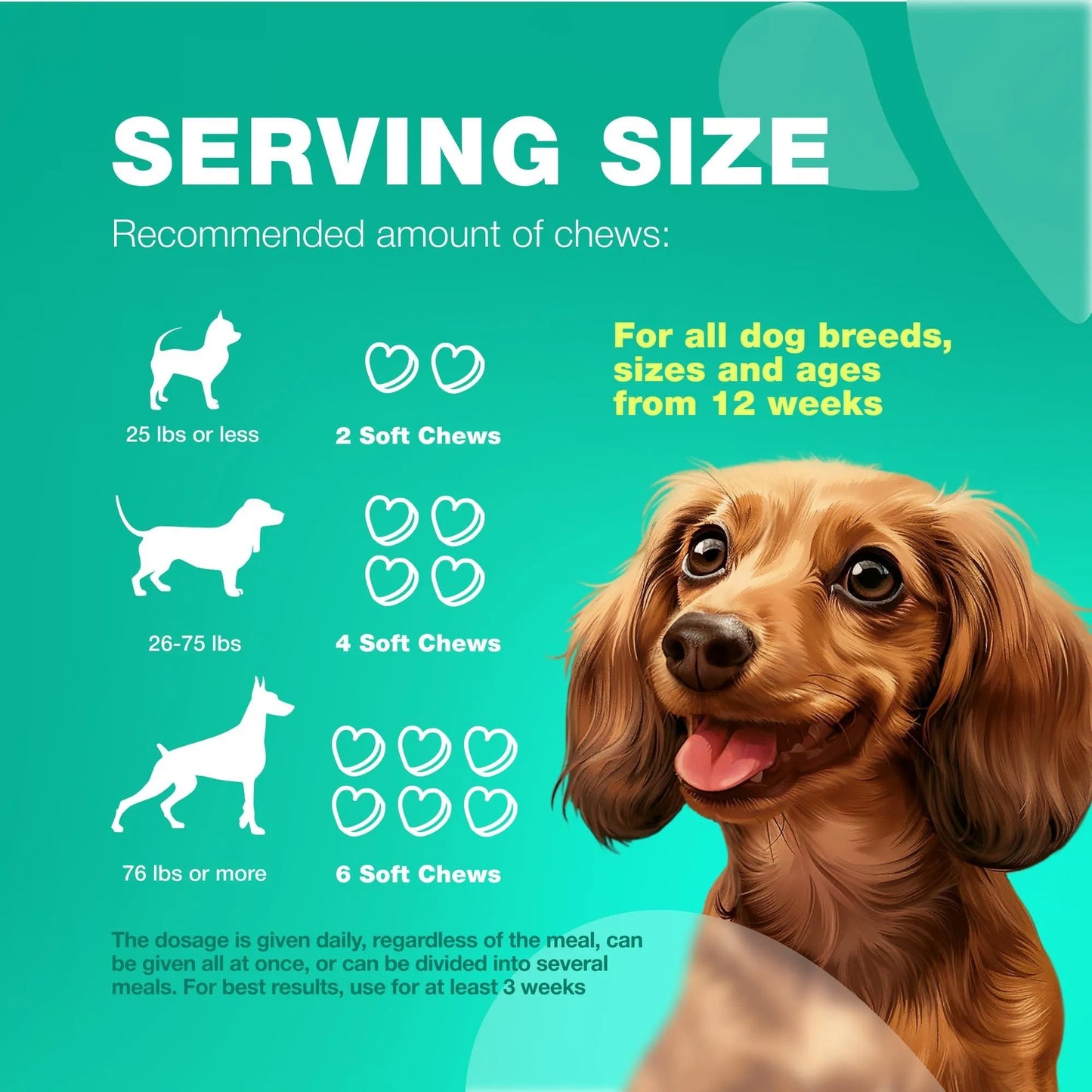 Furnara™ Chewia Probiotic Chews For Dogs