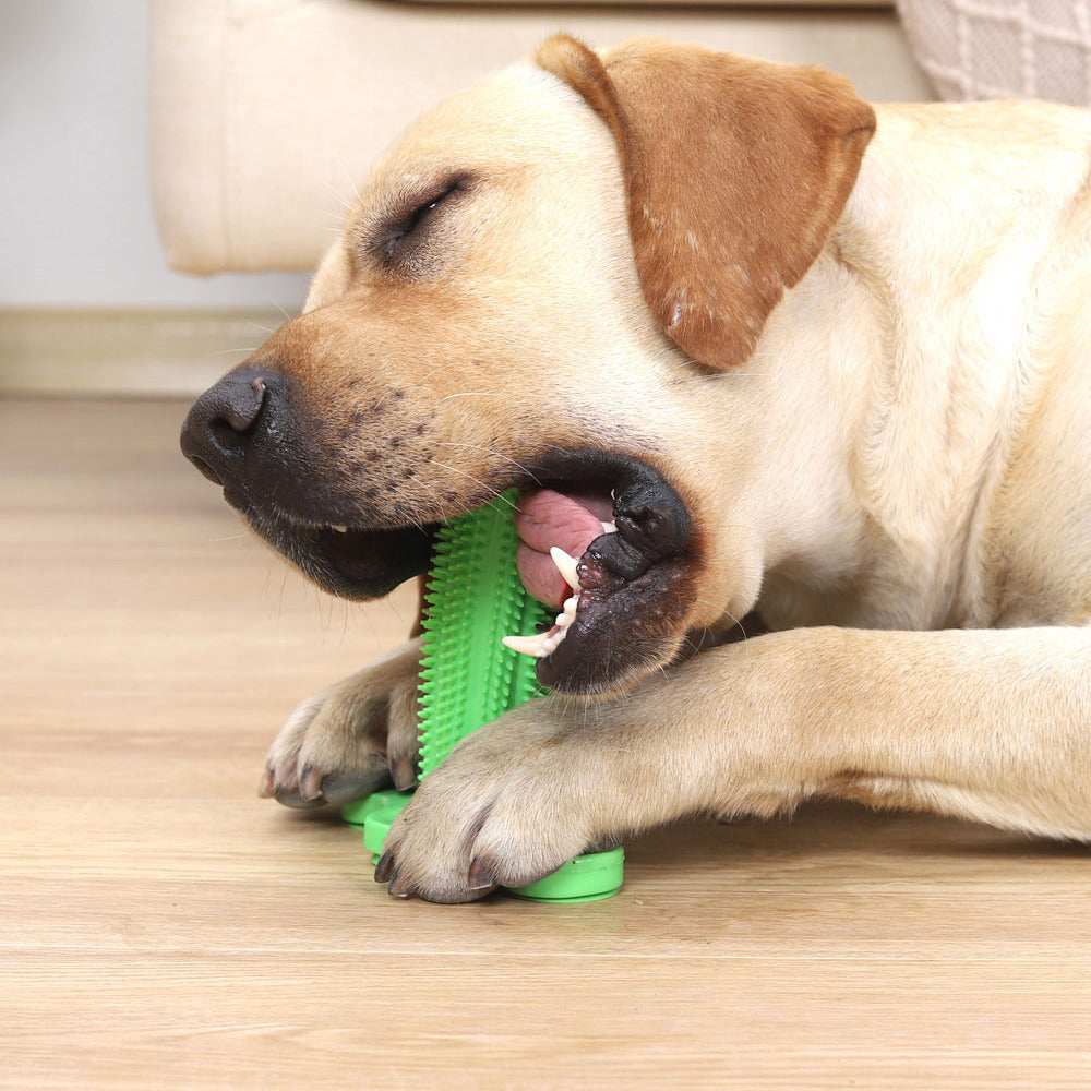 Furnara ™ Vent Toy Sucker Cleaning Dog Toothbrush