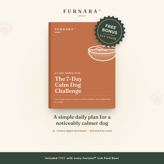 7-day calm dog challenge guide(Ebook)