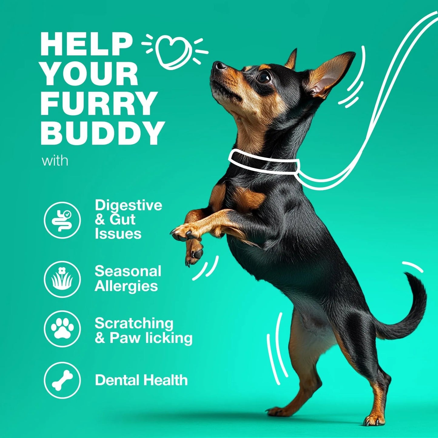 Furnara™ Chewia Probiotic Chews For Dogs